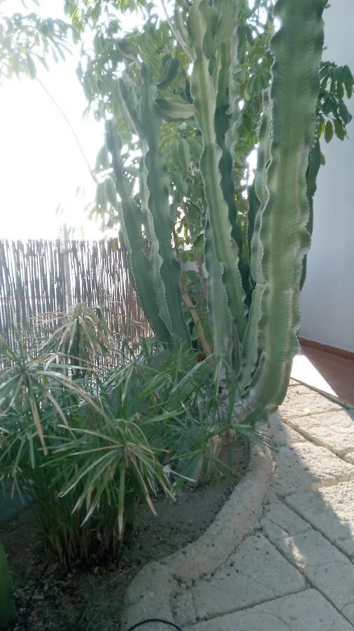 Apartamento Pardela Costa Adeje  Appartement
