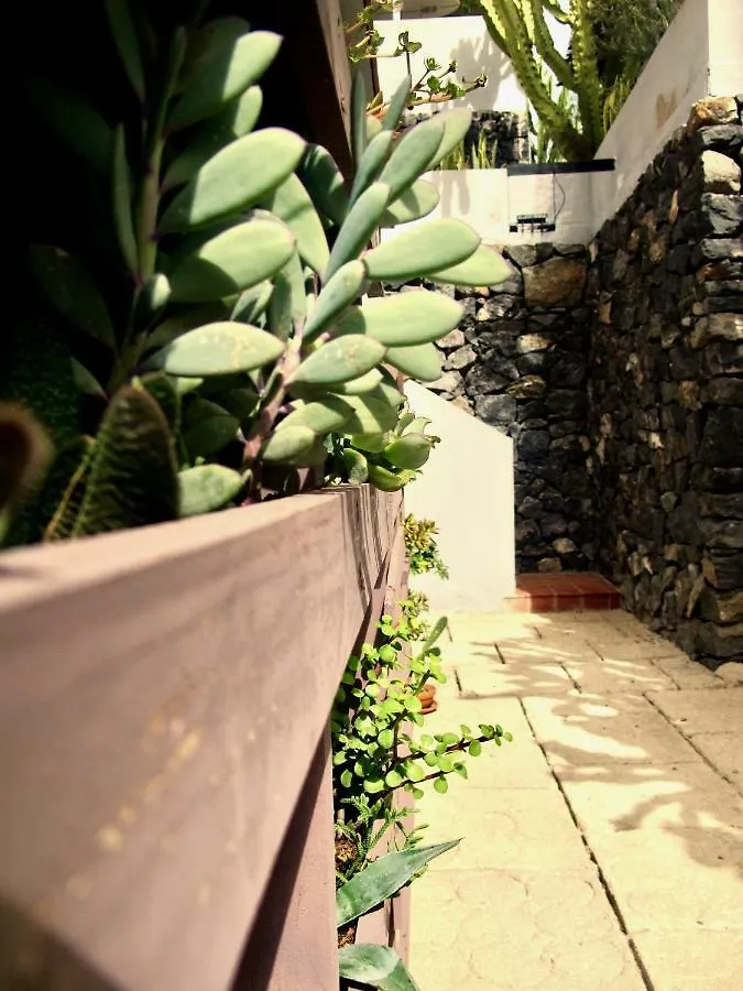 Apartamento Pardela Costa Adeje  0*, Costa Adeje (Tenerife)